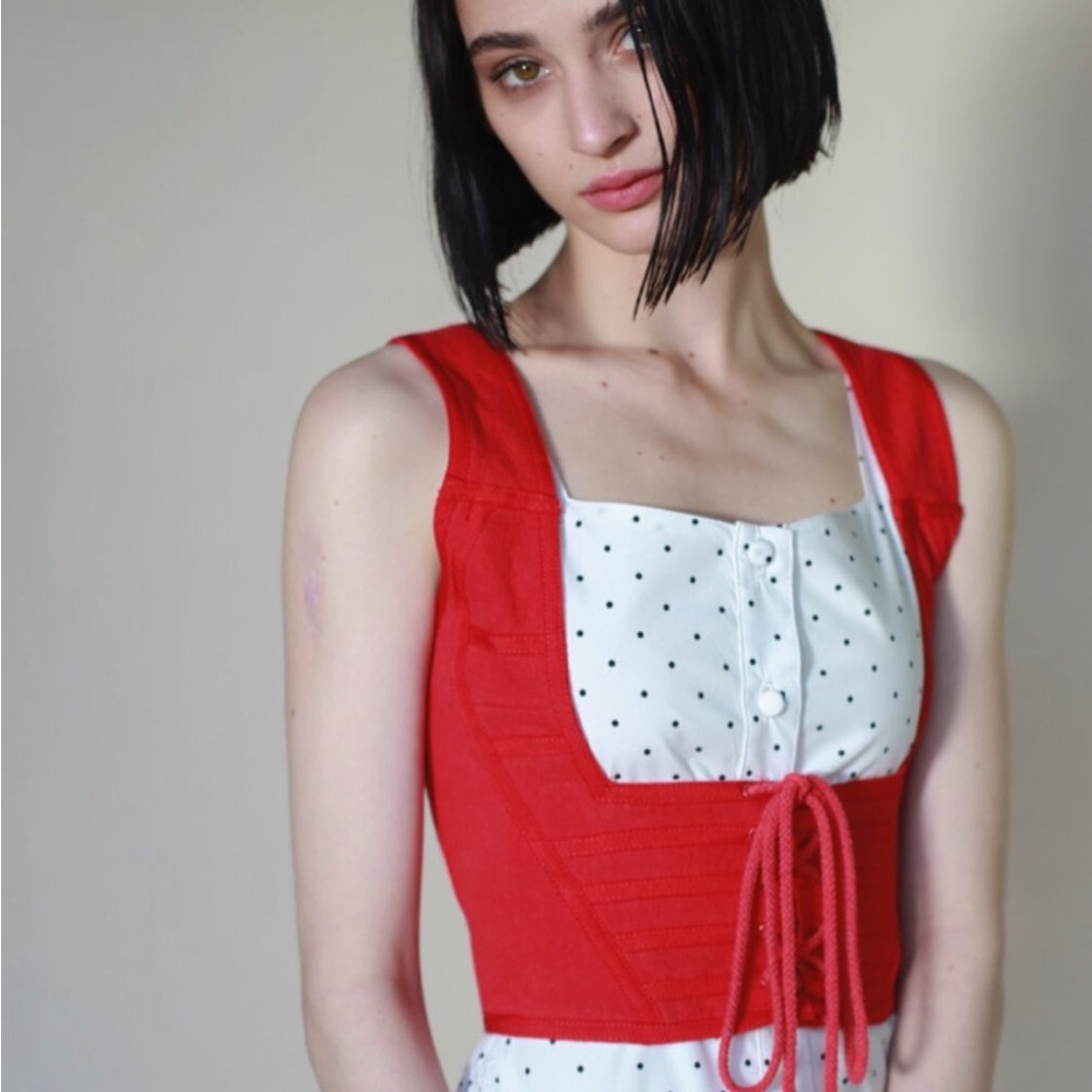 Rare! New Stacey Nishimoto Deaundrea Corset in “Fresh Strawberry Jam” XL